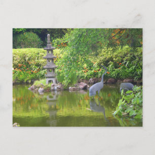 San Francisco Japanese Tea Garden Pond #5 Postcard