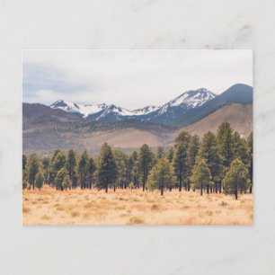 San Francisco Mountains Holiday Postcard