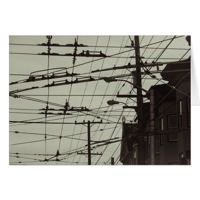 San Francisco MUNI lines (Front Horizontal)