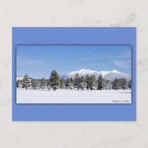 San Francisco Peaks In Snow Postcard