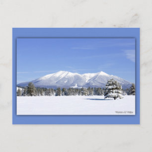 San Francisco Peaks In Snow Postcard