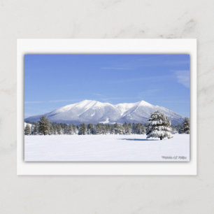 San Francisco Peaks In Snow Postcard