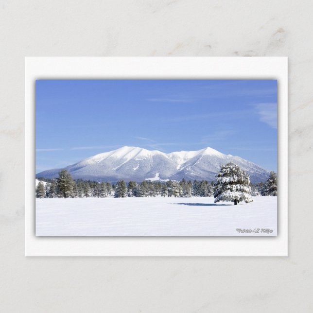 San Francisco Peaks In Snow Postcard (Front)