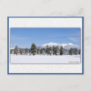 San Francisco Peaks In Snow Postcard