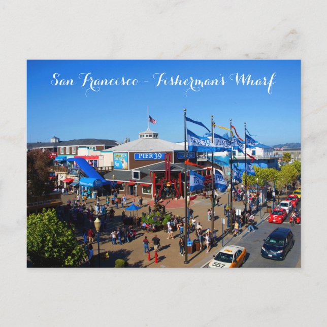 San Francisco Pier 39 #12-2 Postcard (Front)