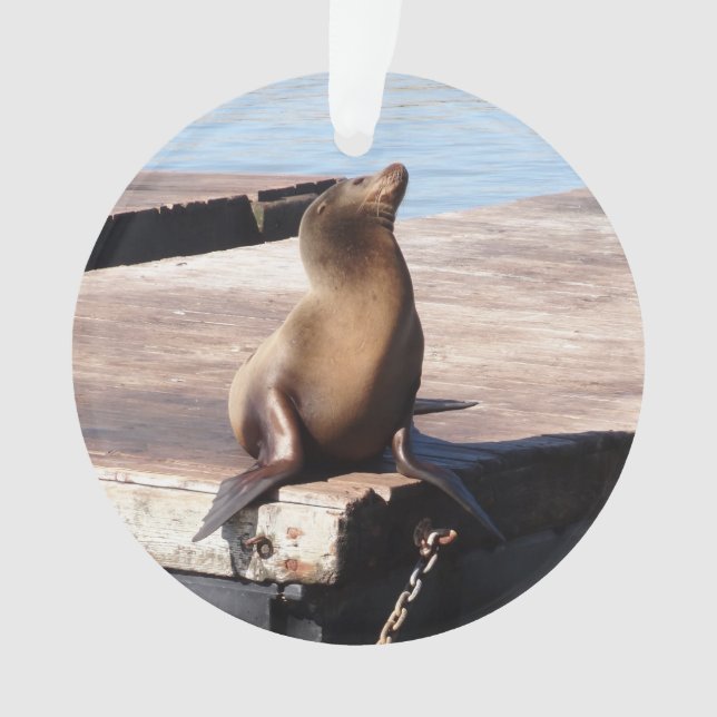 San Francisco Pier 39 Sea Lion Christmas Ornament (Front)