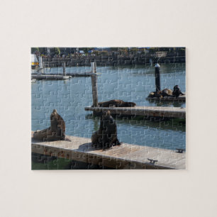 San Francisco Pier 39 Sea Lions #3 Jigsaw Puzzle