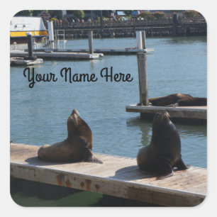 San Francisco Pier 39 Sea Lions #3 Stickers
