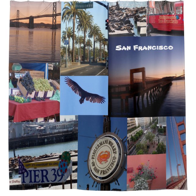 San Francisco Shower Curtain (Front)