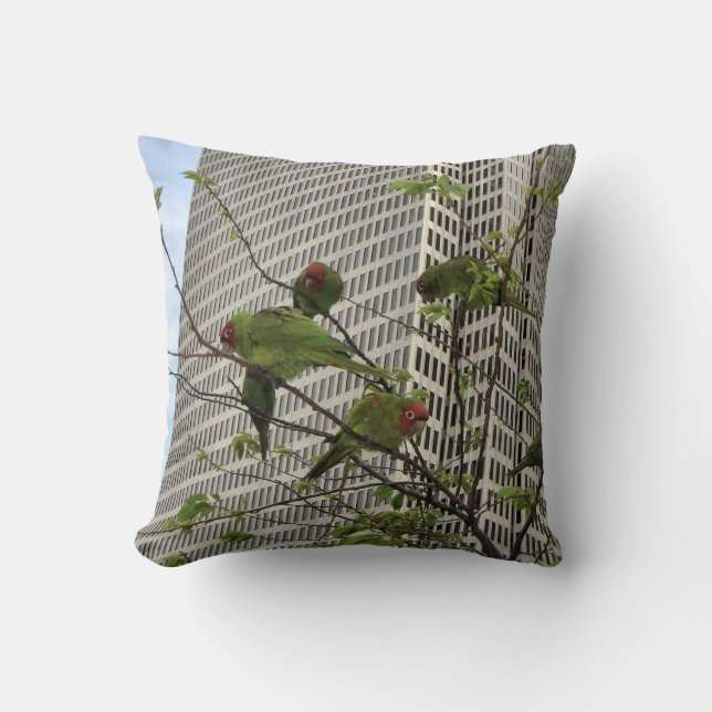 San Francisco Wild Parrots Cushion (Front)