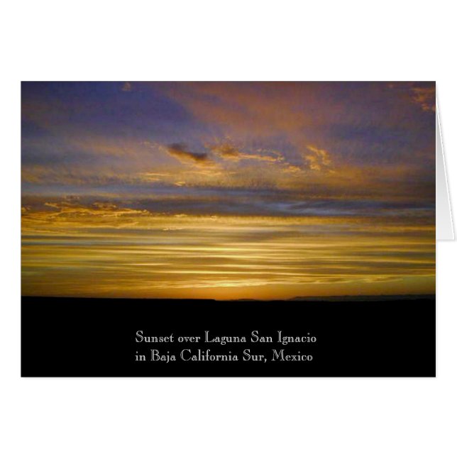 San Ignacio Lagoon Sunset (Front Horizontal)