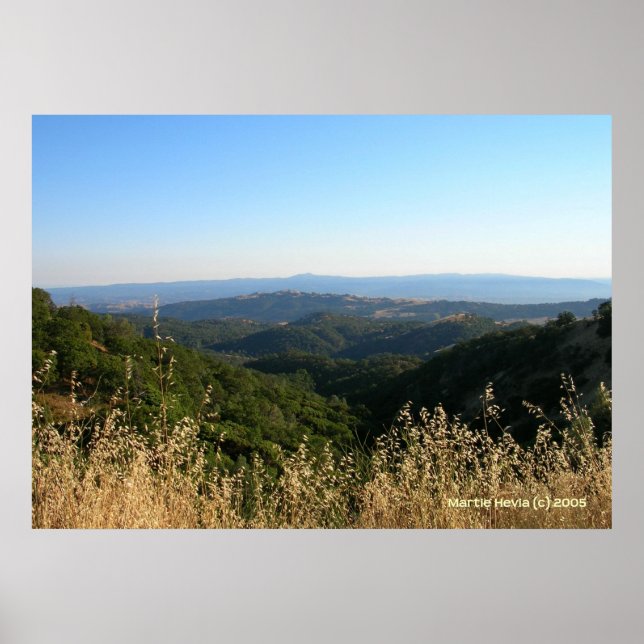 San Jose Foothills Dry Grass Poster (Front)