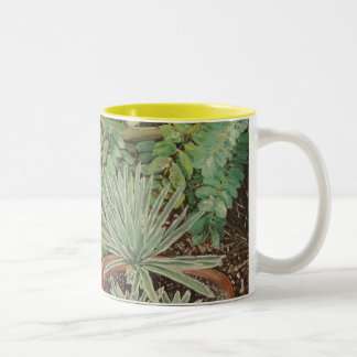 San Jose Mission Garden Painting Two-Tone Coffee Mug