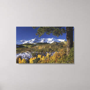 San Juan Mountains and Aspen trees in fallcolor Canvas Print