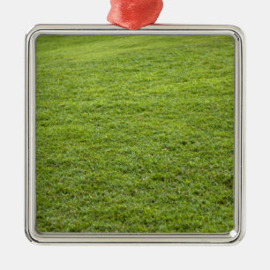 San Juan, Puerto Rico - Green grass is Metal Tree Decoration