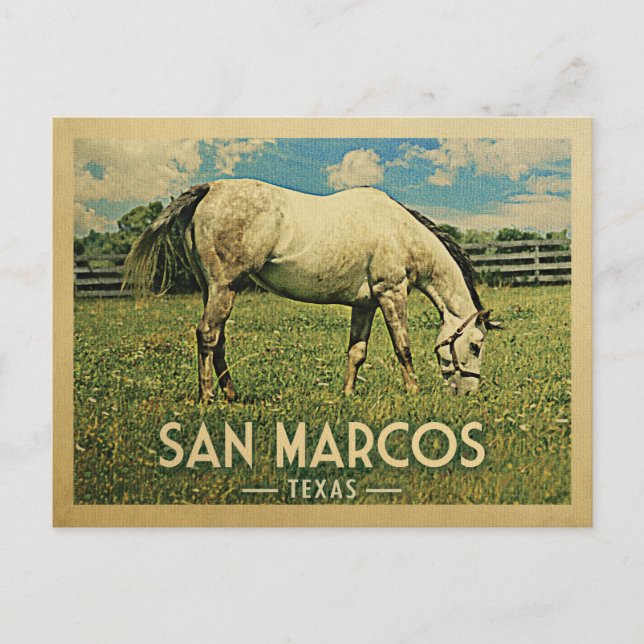 San Marcos Texas Horse Farm - Vintage Travel Postcard (Front)