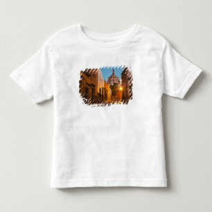 San Miguel de Allende, Mexico. Credit as: Nancy Toddler T-Shirt
