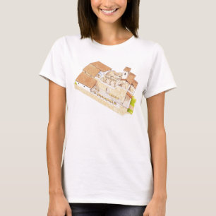 San Millan de la Cogolla. Suso Monastery. La T-Shirt