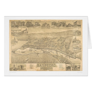 San Pedro, CA. Panoramic Map 1895 (1319A)