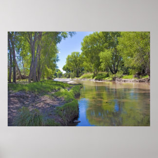 San Pedro River near Fairbank Poster