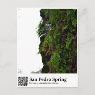 San Pedro Spring Postcard
