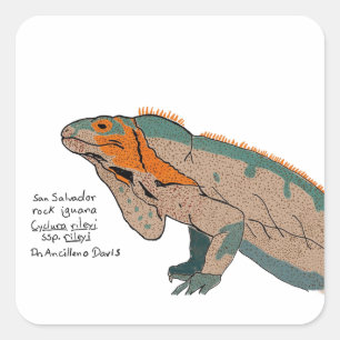 San Salvador Rock Iguana Sticker