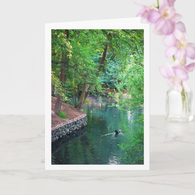 San Vicente de Lliria river lake in Valencia Spain Card (Orchid)