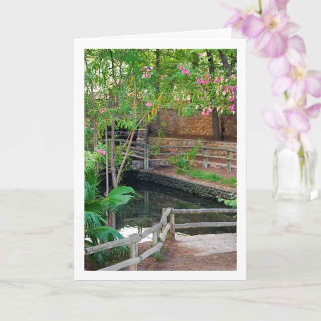 San Vicente de Lliria river lake in Valencia Spain Card (Orchid)