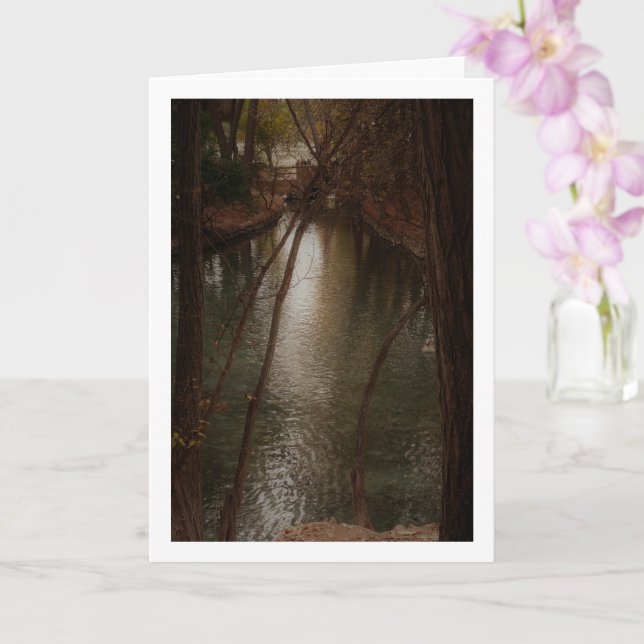 San Vicente Park Lake, Lliria, Valencia Card (Orchid)