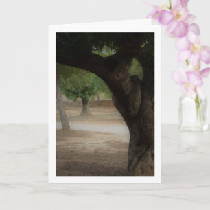 San Vicente Park Lliria, Valencia Card