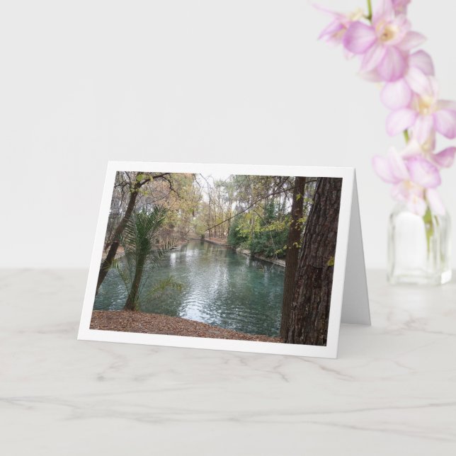 San Vicente Park, Lliria, Valencia, Spain Card (Orchid)