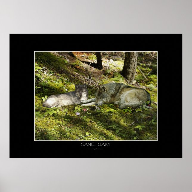 SANCTUARY Art Poster (Front)