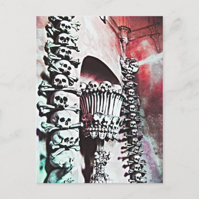 sanctuary postcard (Front)