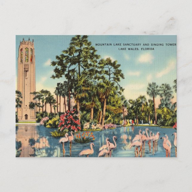 Sanctuary Singing Tower, Lake Wales, Florida Postcard (Front)