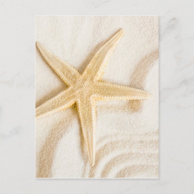 Sand and a Starfish natural neutral colour Postcard (Front)