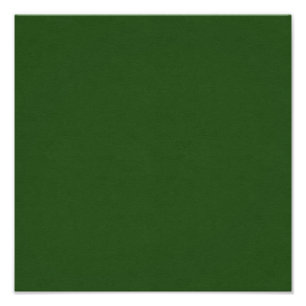 SAND AND BEACH SOLID DARK FOREST GREEN BACKGROUND PHOTO PRINT