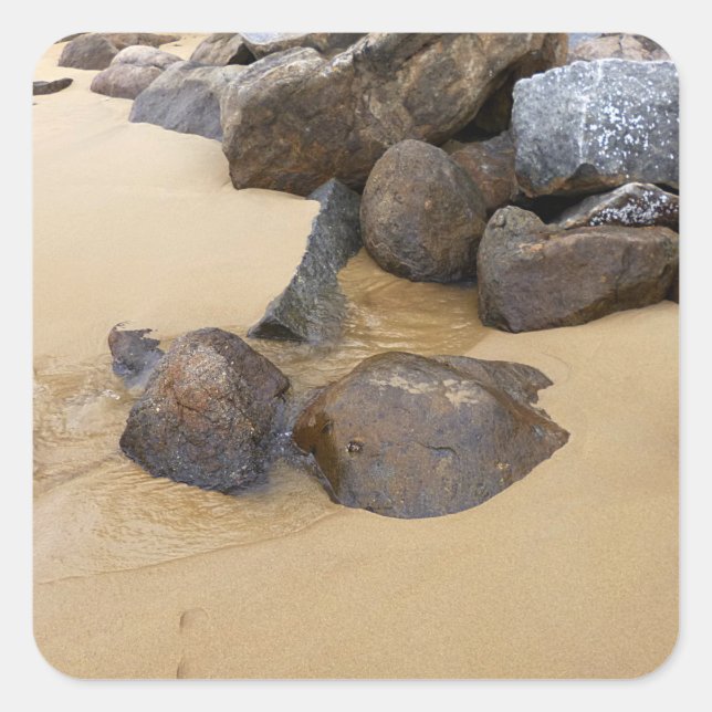 Sand and Stones Square Sticker (Front)