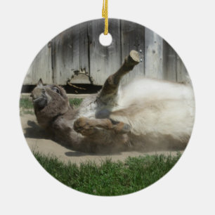 Sand Bathing Donkey Ceramic Tree Decoration