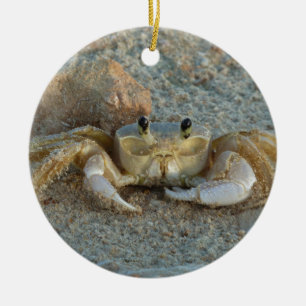 Sand Crab Ceramic Tree Decoration