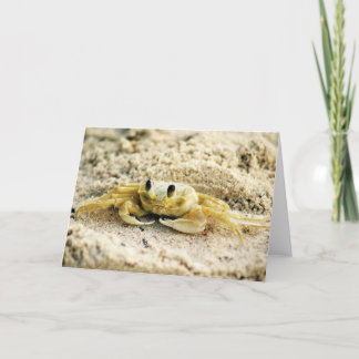 Sand Crab, Curacao, Caribbean islands, Greeting Card