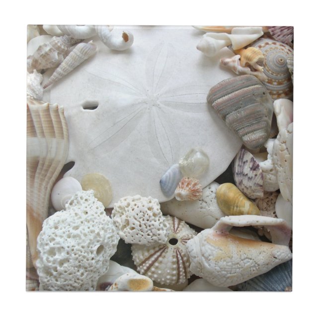 Sand Dollar and Seashells Ceramic Tile (Front)