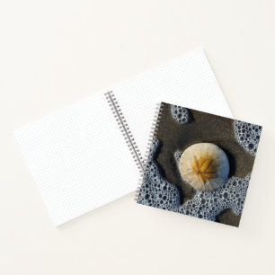 Sand Dollar and Surf Beach Photo 8x8 Notebook