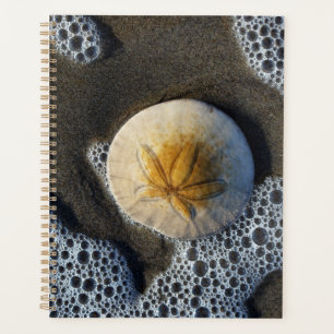 Sand Dollar and Surf Beach Photo Planner