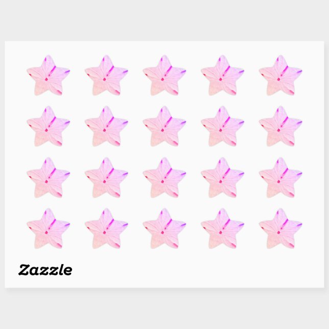 Sand Dollar Beach Coastal Trendy Cute Pink Girly Star Sticker (Sheet)