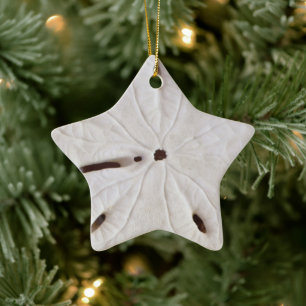 Sand Dollar Beach Coastal White Round Trendy Star Ceramic Tree Decoration