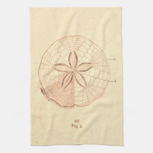 Sand Dollar Beach Illustration Tea Towel