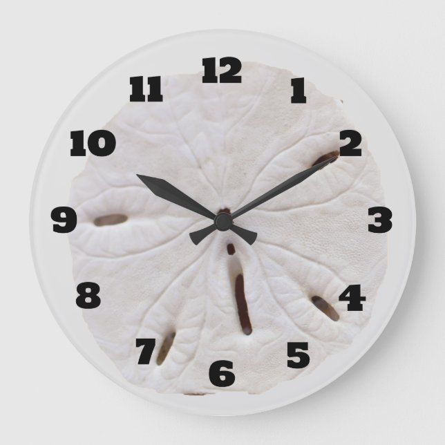 Sand Dollar Beach Seashells Beach Natural Trendy Large Clock (Front)
