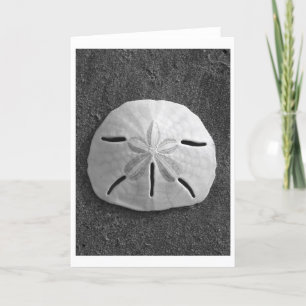 Sand Dollar (Black and White) Card