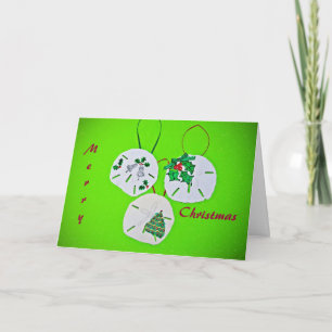 Sand Dollar Christmas Greeting Holiday Card