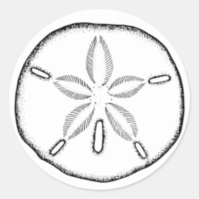 sand dollar classic round sticker (Front)